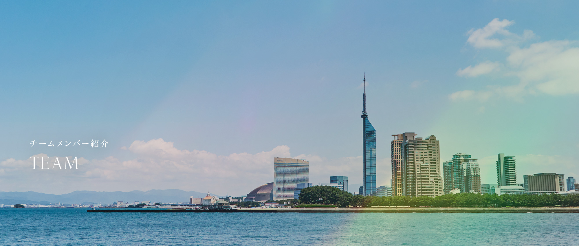 チームメンバー紹介